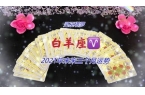 月感情运势塔罗（7月爱）ky开元棋牌感情